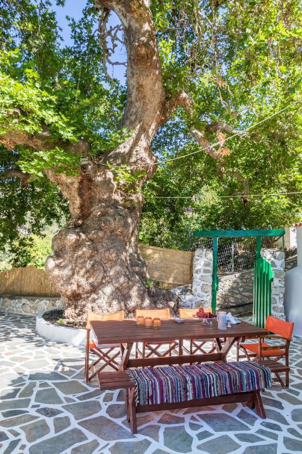 Mertonas Villa Kyra Panagia Ngoại thất bức ảnh
