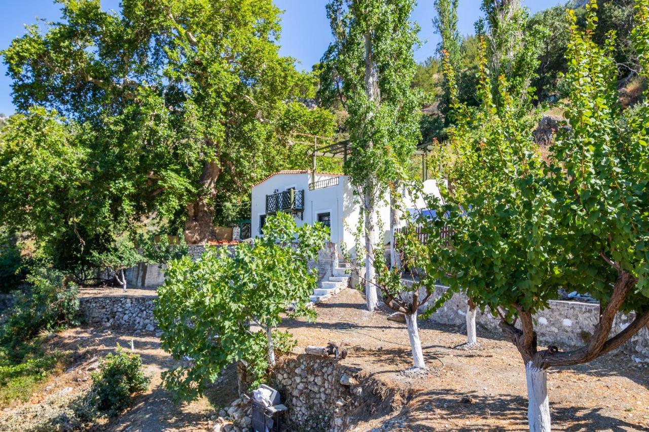 Mertonas Villa Kyra Panagia Ngoại thất bức ảnh