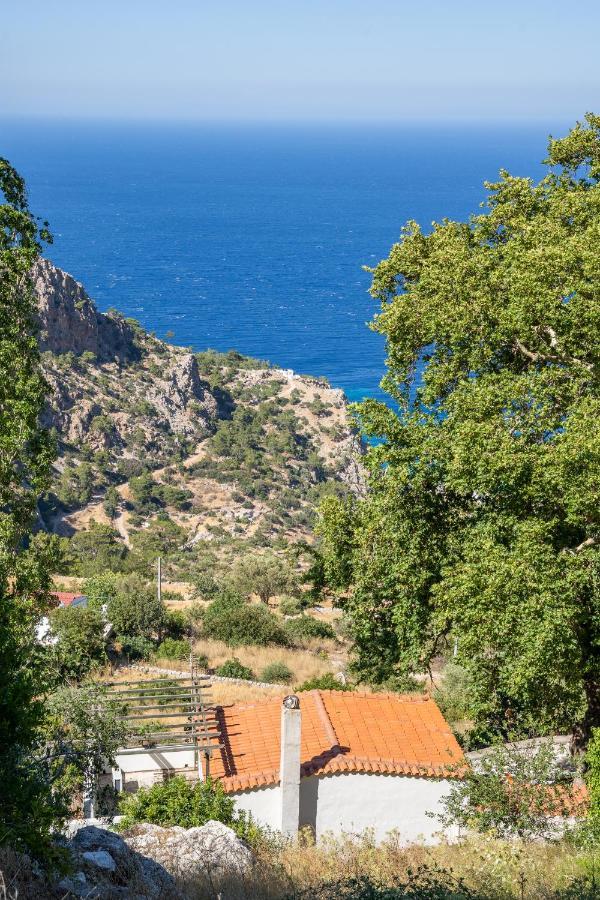 Mertonas Villa Kyra Panagia Ngoại thất bức ảnh